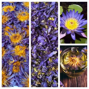 Lotus Seeds for Cooking and Herbal Tea - Buy Online at Nilgiri Stores