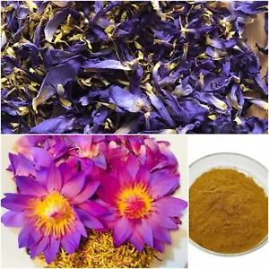 Premium Organic Lotus Seeds - Crunchy & Nutritious - Buy Online at Nilgiri Stores