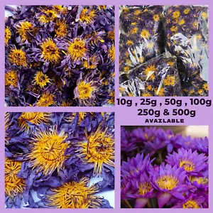 Sacred Lotus Seed Pods: Dried Floral Stems and Heads - Buy Online at Nilgiri Stores