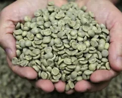 Organic Unroasted Coffee Beans, 100% Quality  Green Natural Beans