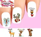Waterslide Nail Decals Set of 20 - Christmas Holiday Reindeer Ornaments Assorted