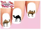 Waterslide Nail Decals Set of 20 - Camel Assorted