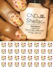 Autumn - Fall  Leaves Nail Art Waterslide Decals - Salon Quality!