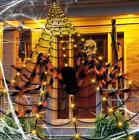 150LED Light Up 23Ft Triangular Spider Web – 60” Giant Spider – 20 Mini Spiders