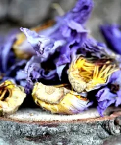 Blue Lotus Nymphaea Caerulea Hand Picked Sun Dried Flowers Herbal Organic