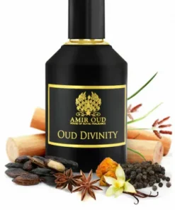 Oud Divinity by Amir Oud Fragrance, 100 ml (3.4 fl.oz) Extrait de Parfum