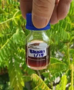 oud oil